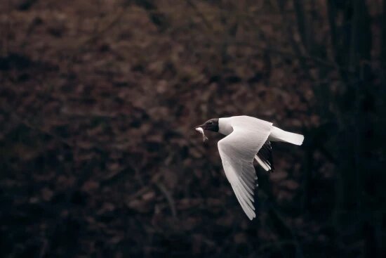    Фото: галерея «Беляево»