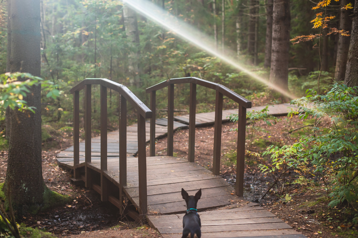 Фото: tsuguliev / Фотобанк Фотодженика
