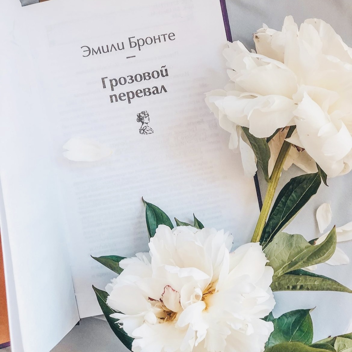 «Один надеялся, другой предался отчаянию: каждый из них сам избрал свой жребий и должен был по справедливости нести его».