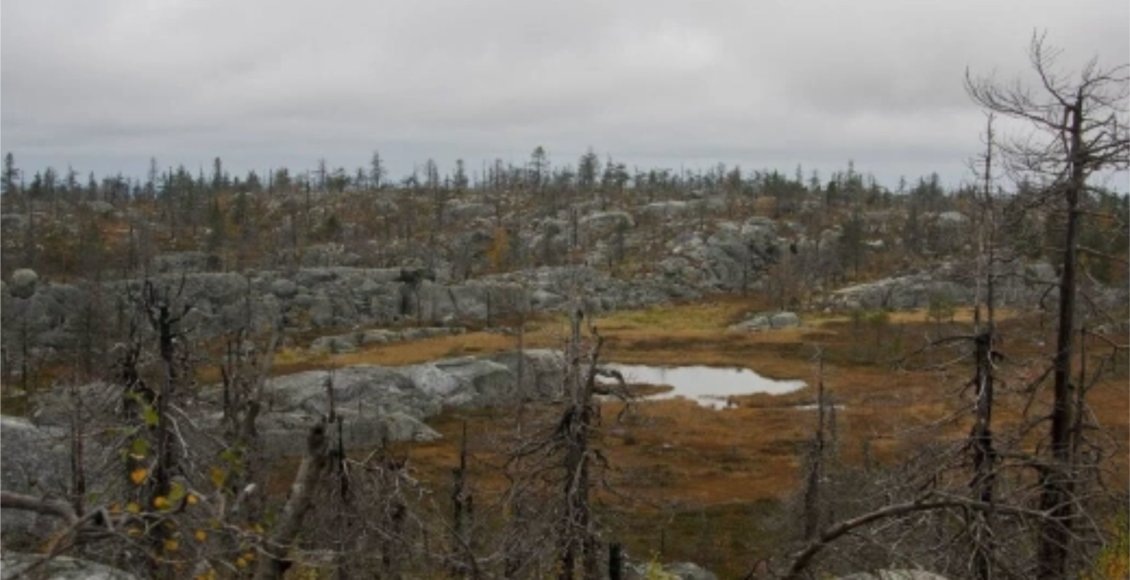    Фото: gov.karelia.ru