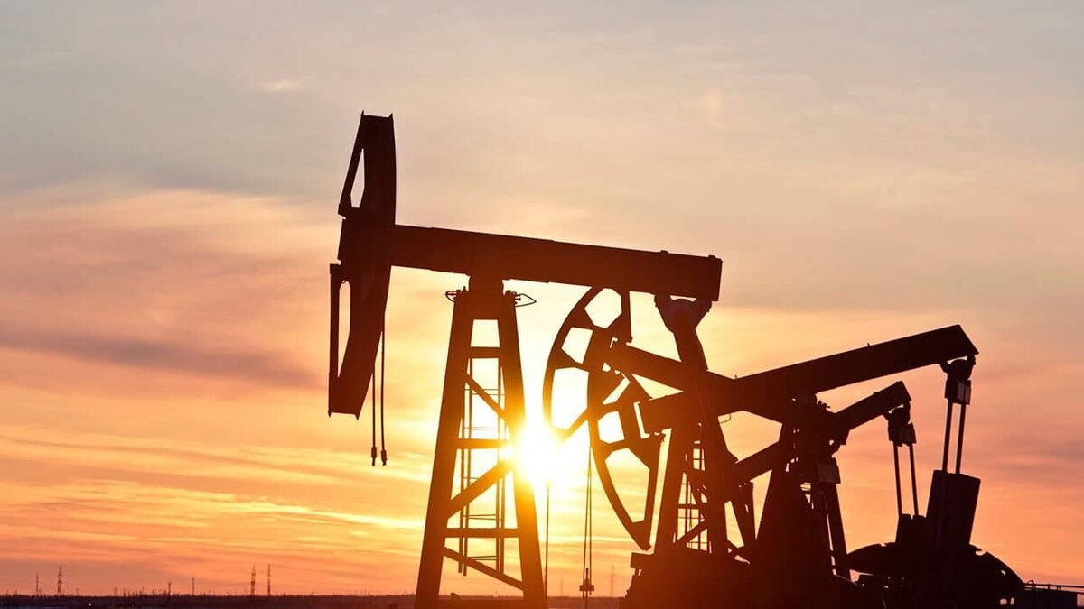 Фото: https://tvzvezda.ru/ (https://mcdn2.tvzvezda.ru/storage/news_other_images/2023/12/07/43dd202c3edb42ba9a8c5c2fc3cc7cbb.jpg)