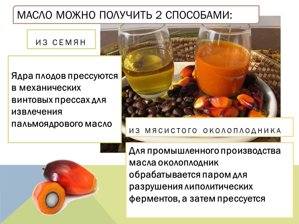 (коллаж собственность канала "Невыдуманные истории еды")