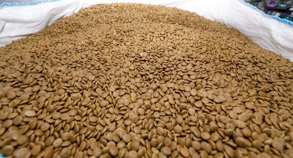    Издательство "Подмосковье"