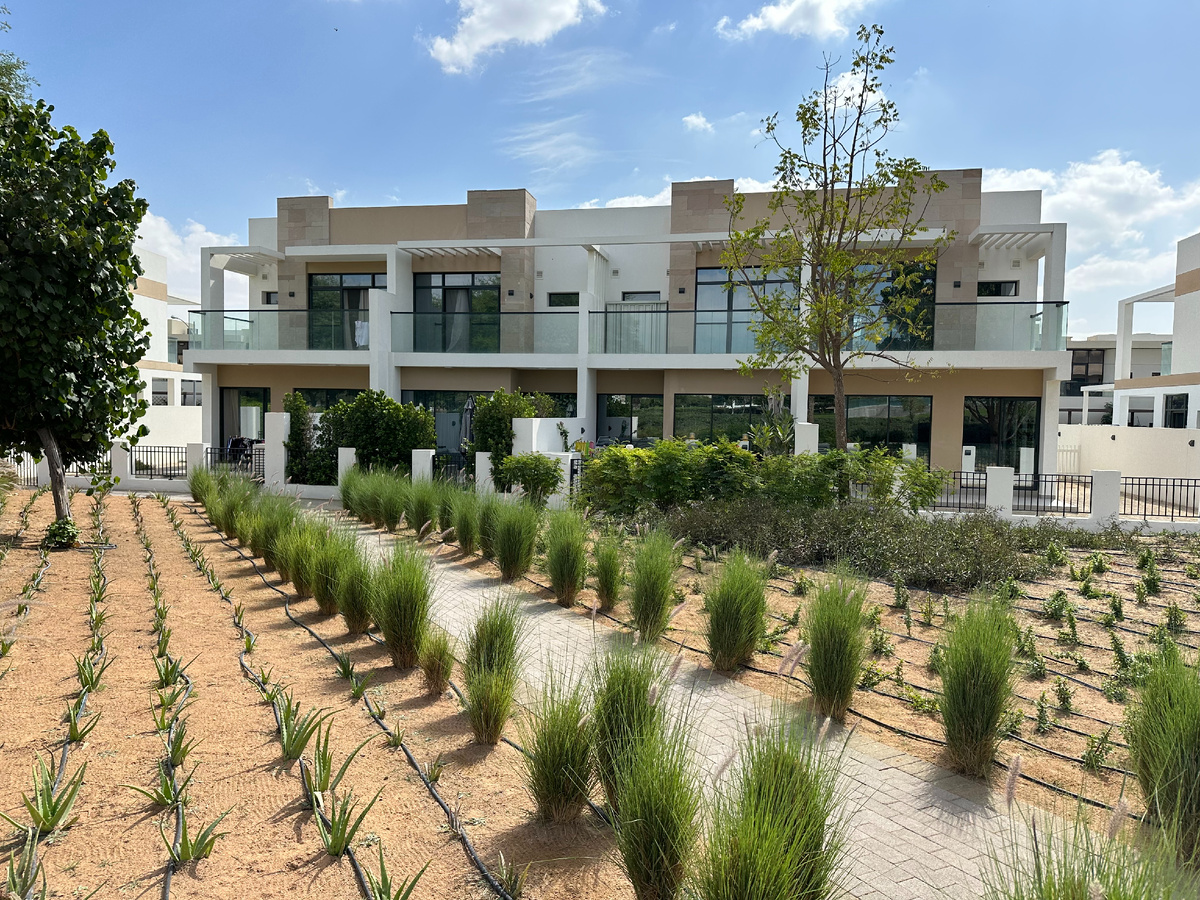 Пример таунхаусов в Дубае 