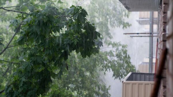    © Sputnik / Дмитрий Паршин