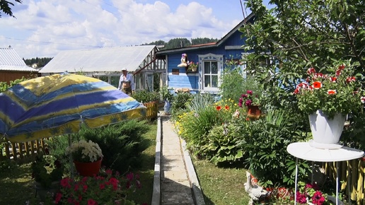 В День дачника садоводы поделились секретами загородной жизни