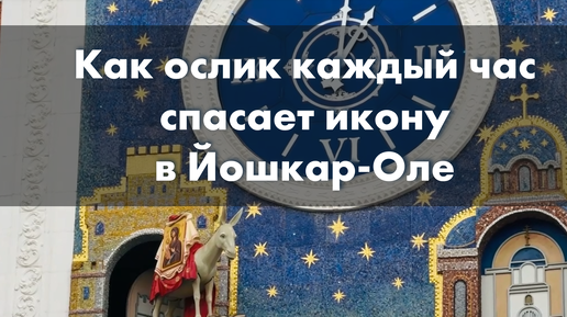 Как ослик каждый час спасает икону в Йошкар-Оле