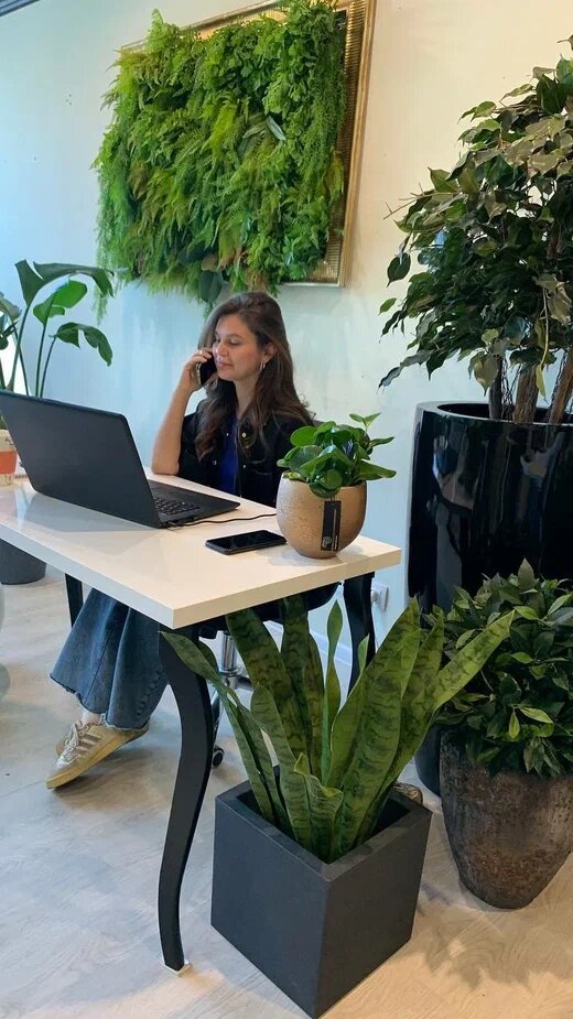 Офис - шоурум компании Green Land в г.Санкт-Петербург