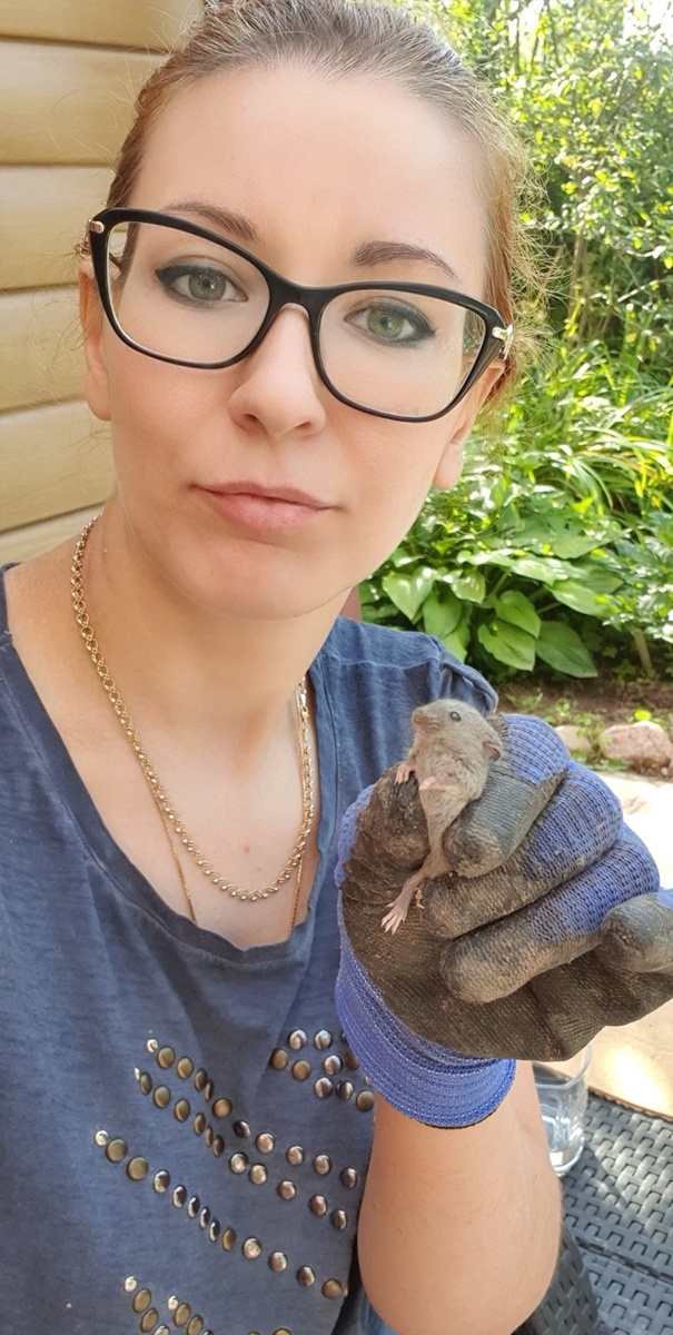 Вот такого зверька поймала сегодня в зернохранилище. 