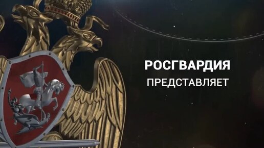 История одного экспоната. Боксёрские перчатки Владимира Стадника