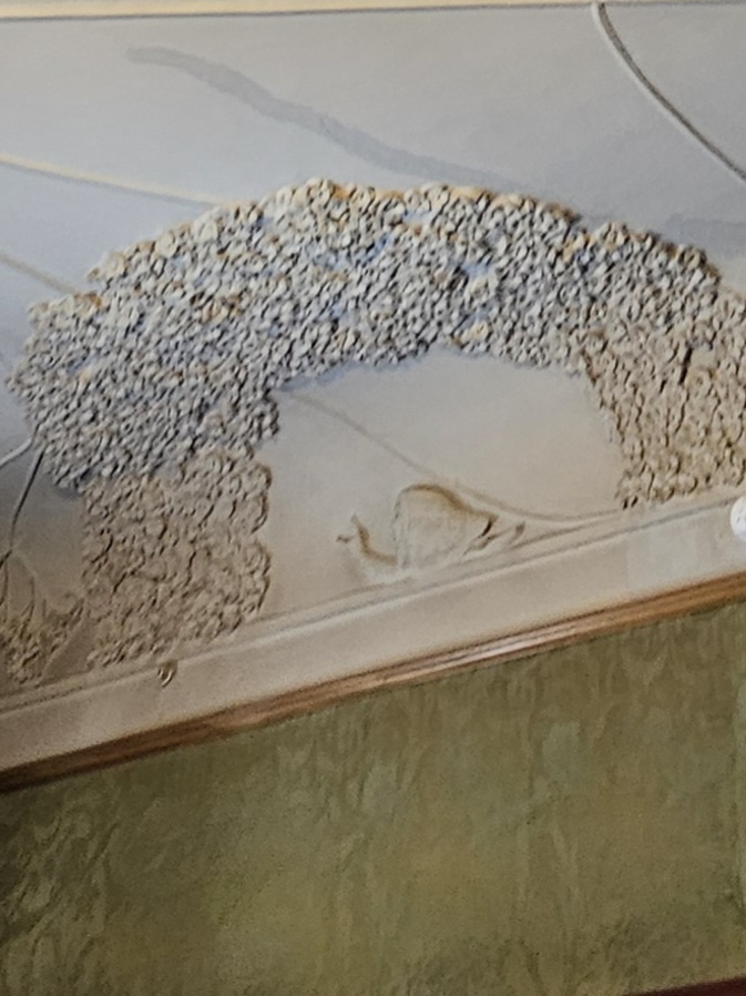 На потолке улитка (Фото автора Л. Баевой)