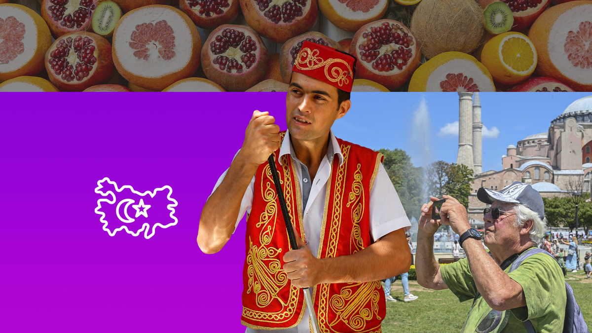 Коллаж 78.ru: Martin Siepmann; Omer Kuscu; Aleksey Smyshlyaev/globallookpress.com, flaticon.com/Eucalyp