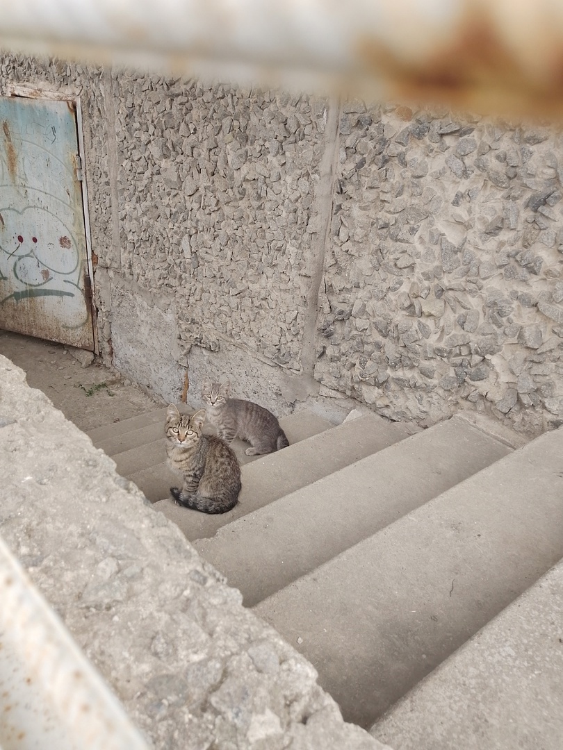 Испугалась меня, к матери убежала