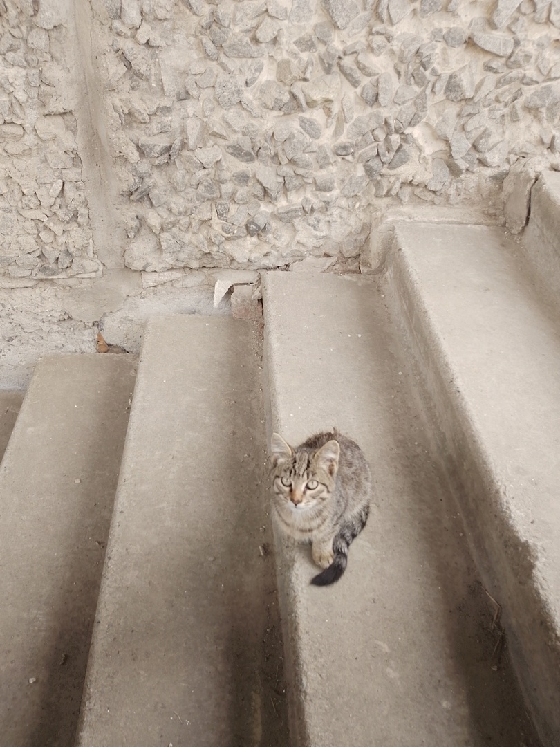 Мамаша спокойно позирует