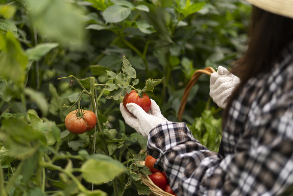 Фото: freepik.com