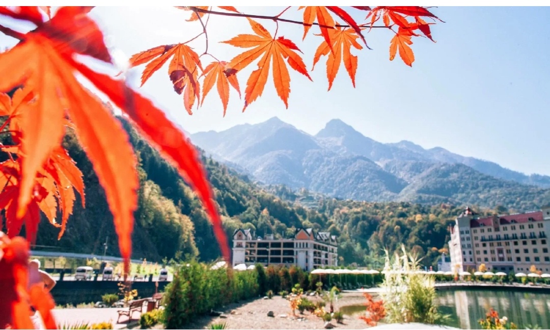 Фото осеннего Сочи из интернета. Фото из той поездки не просто не сохранились, их и не было.