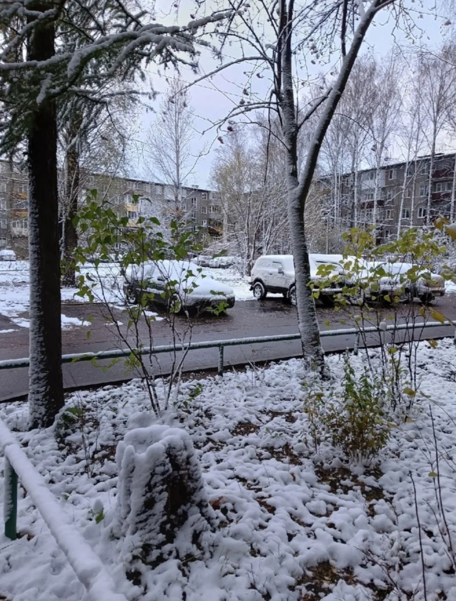 Первый снег. Фото из интернета.