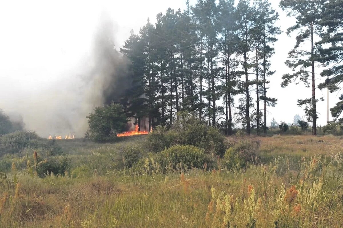    Благодаря слаженной работе огонь удалось оперативно локализовать, а затем ликвидировать.