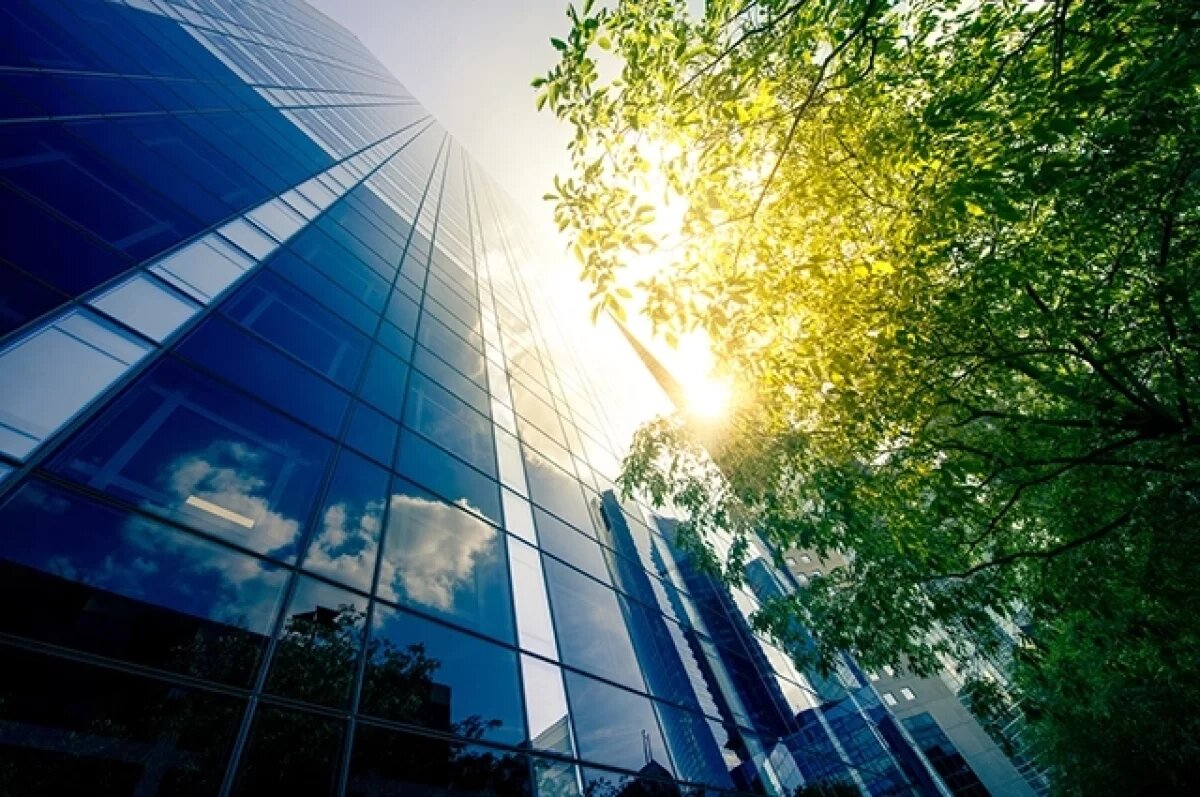    Стволы общества.