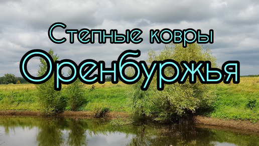 Степные ковры оренбуржья