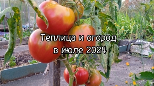 Радость первого урожая 2024 года