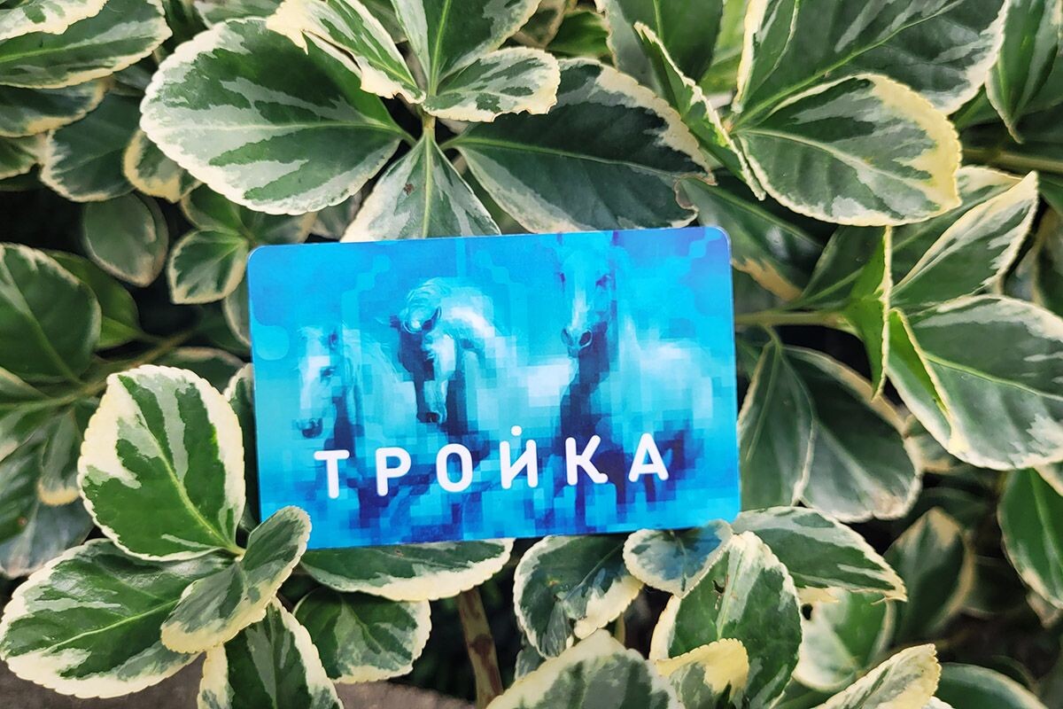 В названии кроется отсылка к традиционной русской лошадиной упряжке, а еще оно означает три вида транспорта: метро, троллейбус и автобус. Источник: личный архив Татьяны Суховой📷
