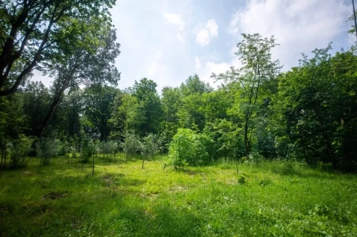    Территорию парка Константина Лагунова планируют открыть в ноябре 2024 года