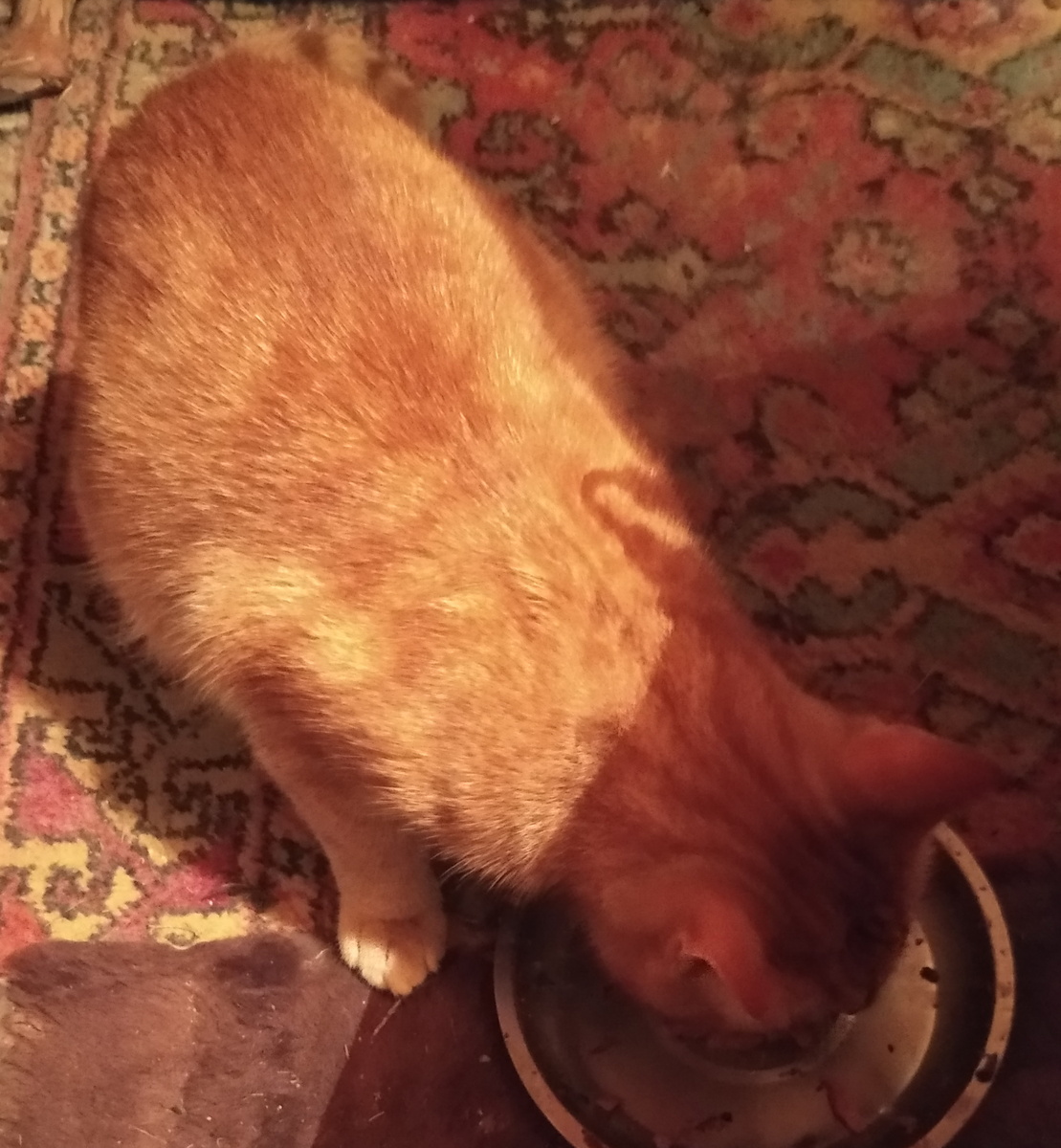 Личное  фото. 