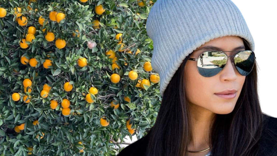 Речь идет о первом свидании, когда двое условились встретиться в кафе после общения в интернете. Либо их рекомендовали друг другу друзья. Вариантом является и ситуация, когда мужчина и женщина случайно обменялись телефонами, а потом договорились первый раз "пересечься"