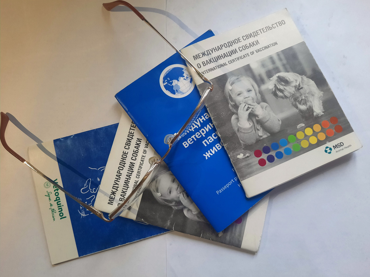 Ветеринарный паспорт - обязательный документ для участия в выставках