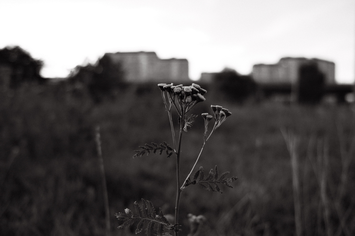 ©️photographer Sergey Karavaev #SOOC blog 365 days photo