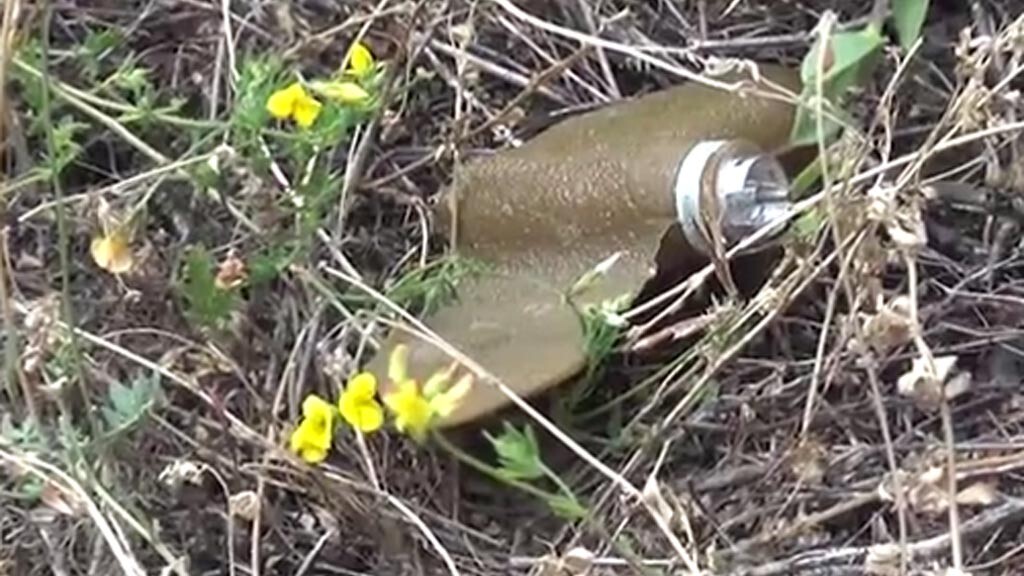    Архив. Скриншот видео МЧС ДНР