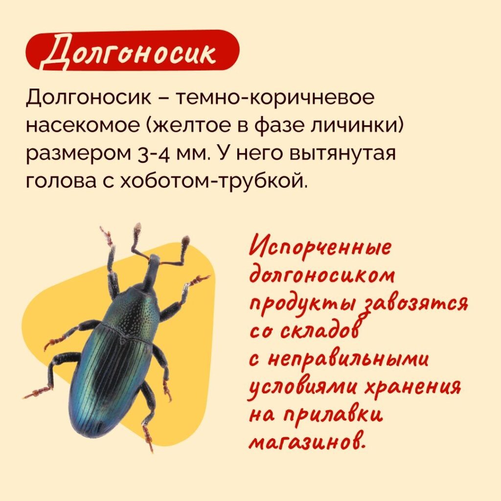    паблик «Образ жизни»