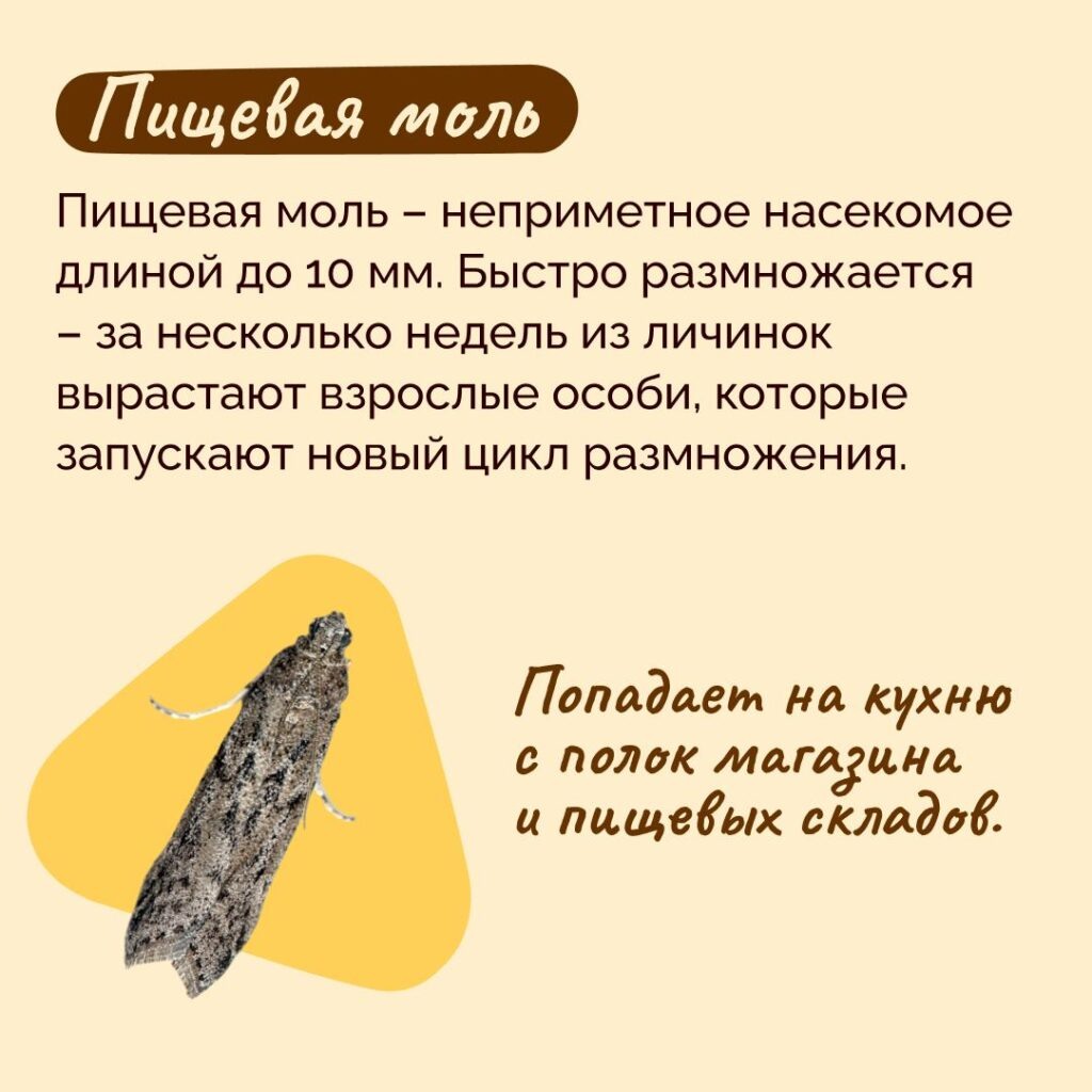    паблик «Образ жизни»