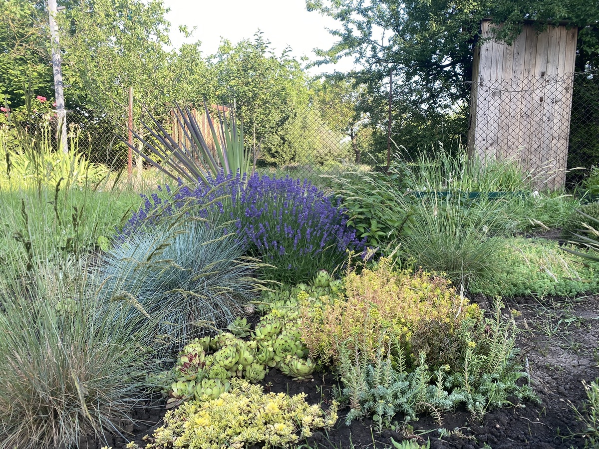 Смотрю на старые фото и плачу. Плачу и смотрю. 