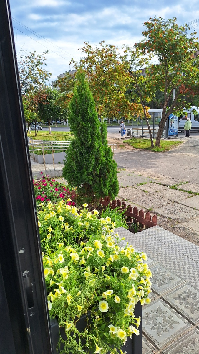 Вон рябина уже почти по осеннему выглядит