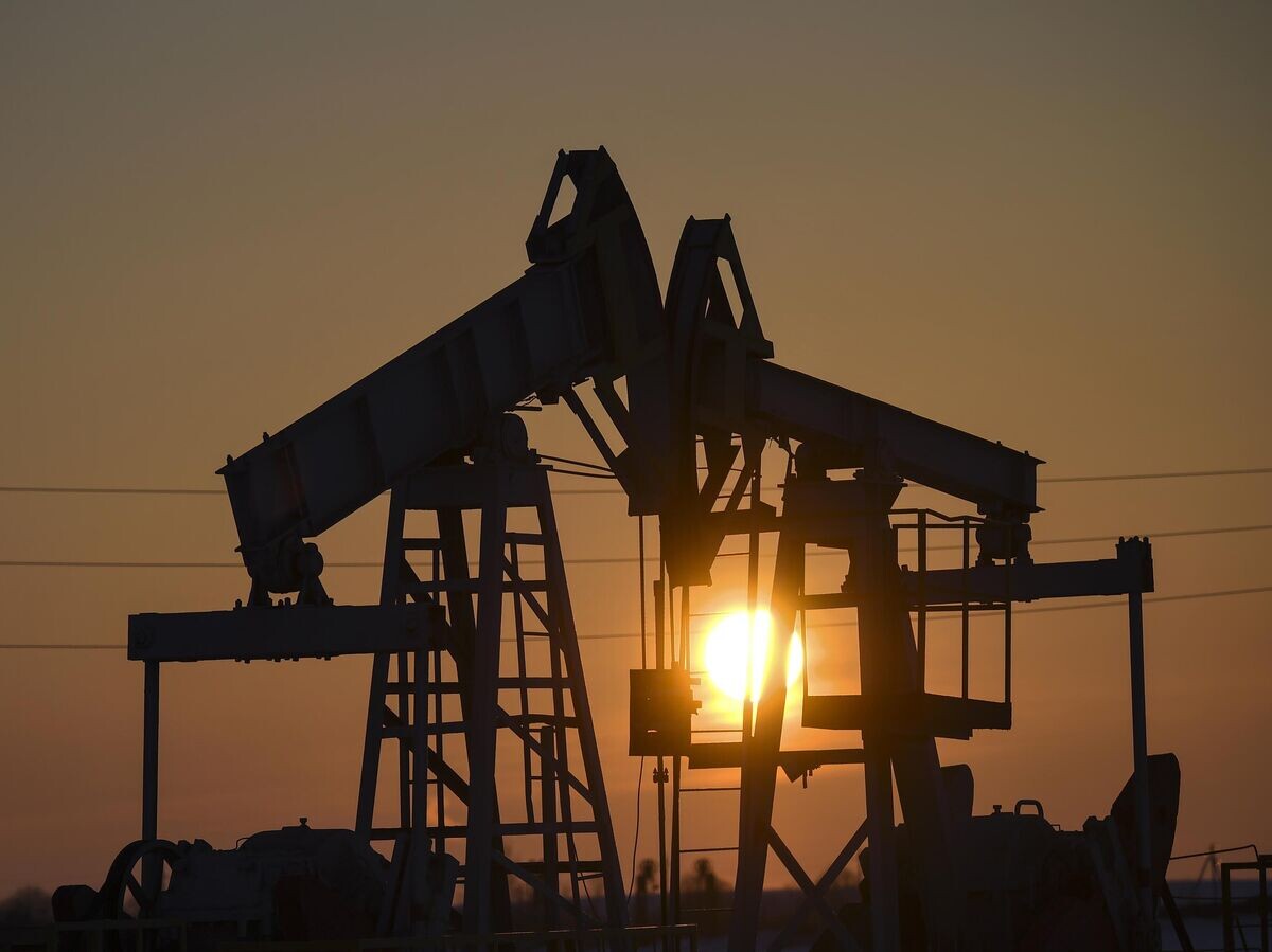    Нефтяные качалки в Альметьевском районе Республики Татарстан© РИА Новости / Максим Богодвид