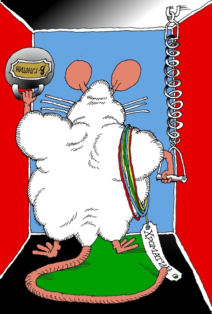 Иллюстрация Сергея Тюнина