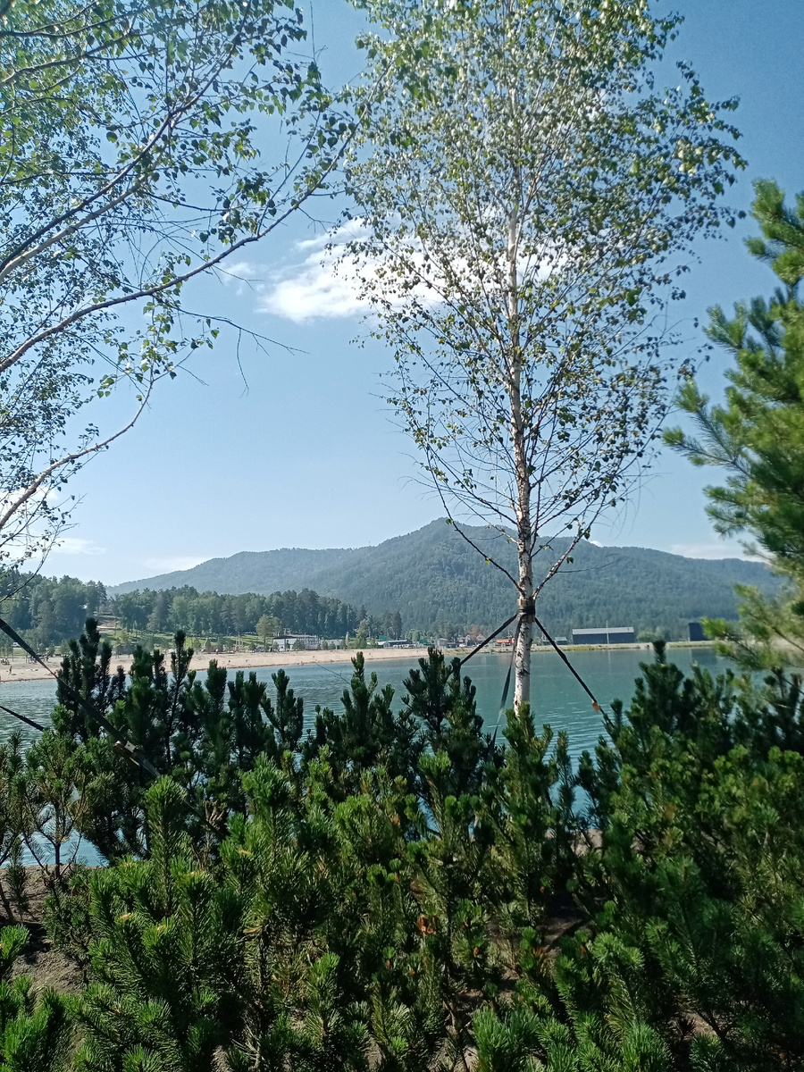 Фото автора 