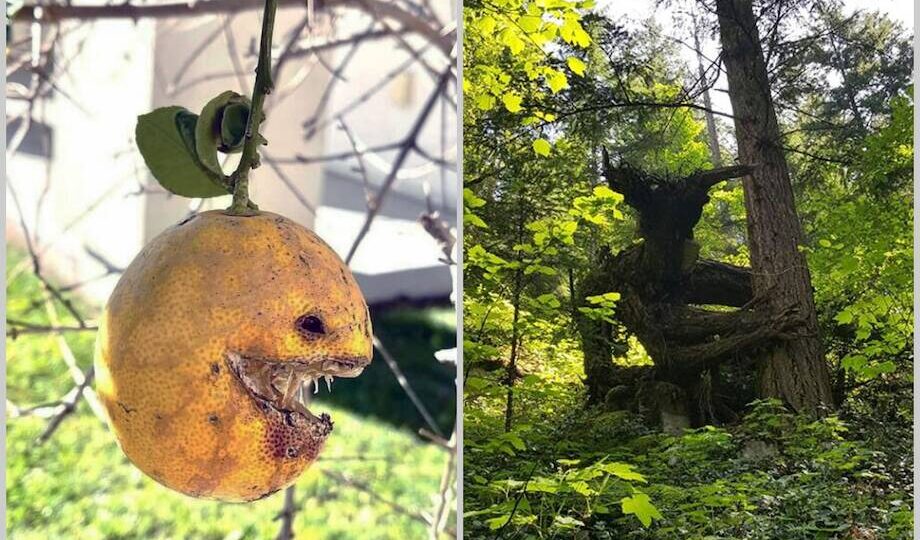 15 забавных примеров, когда люди увидели лица там, где их не должно быть