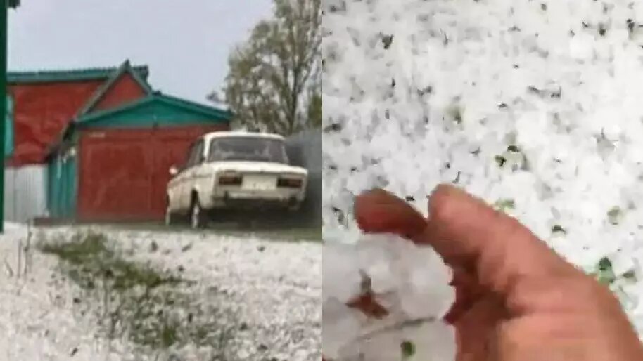     Источник: соцсети