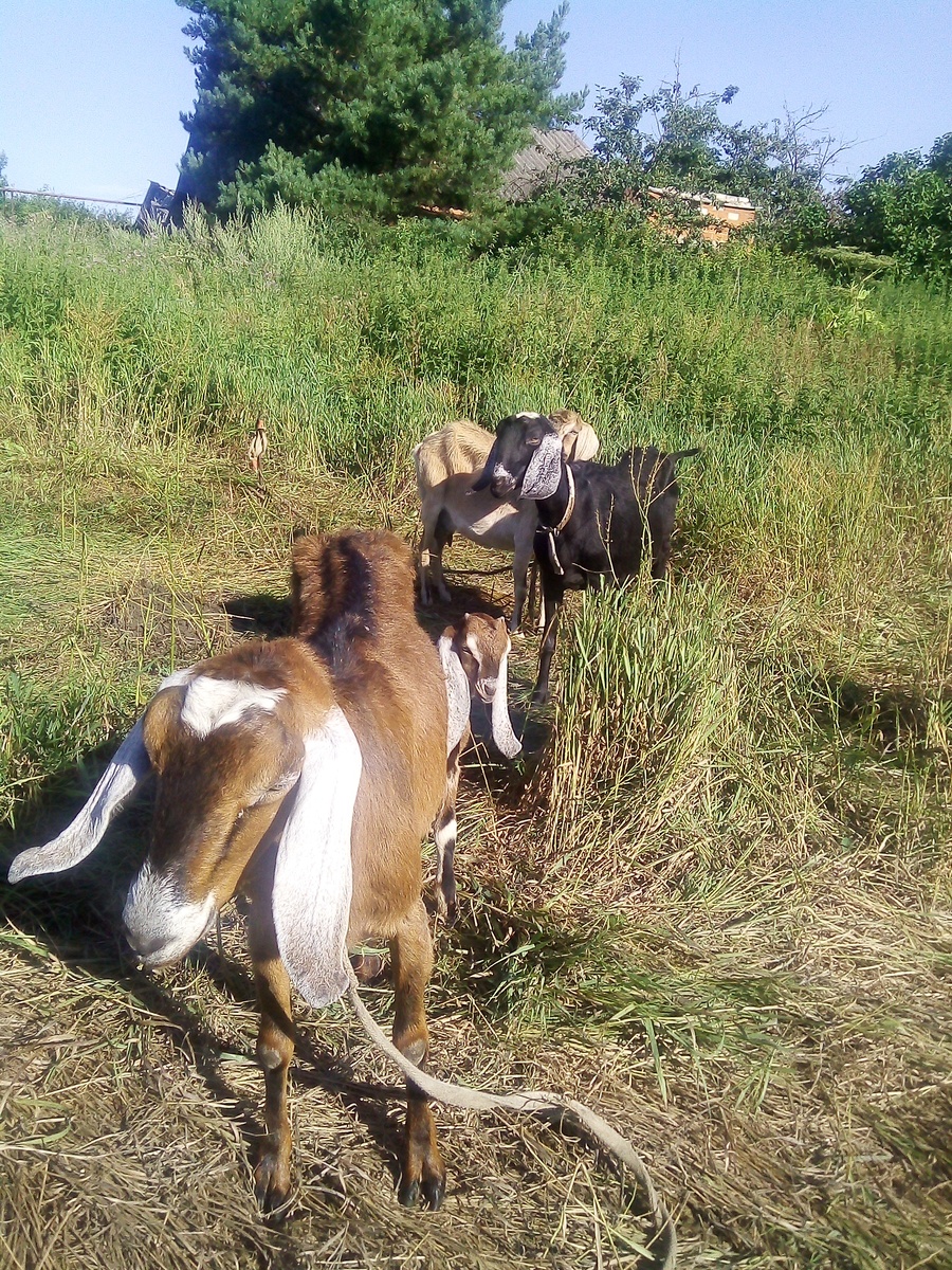 Фото автора. 