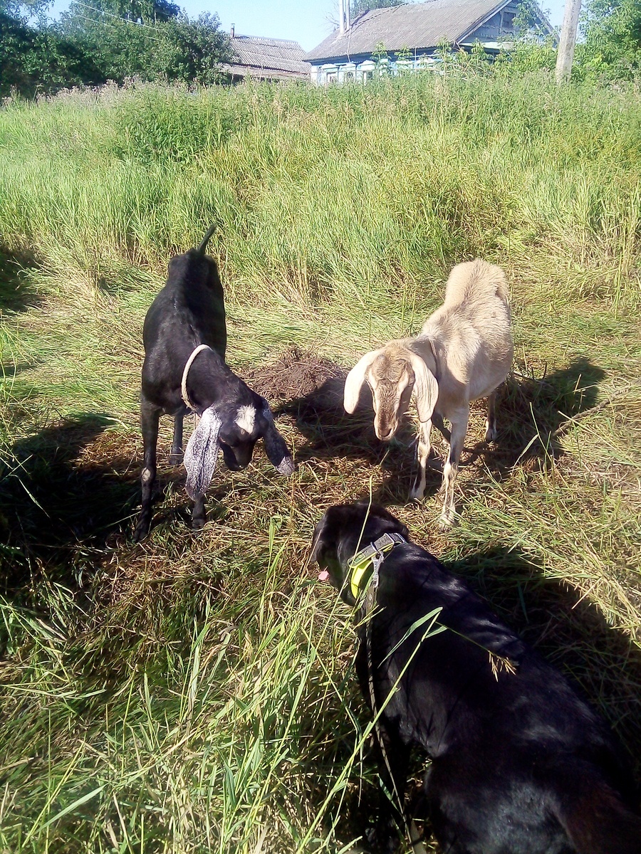 Фото автора. 