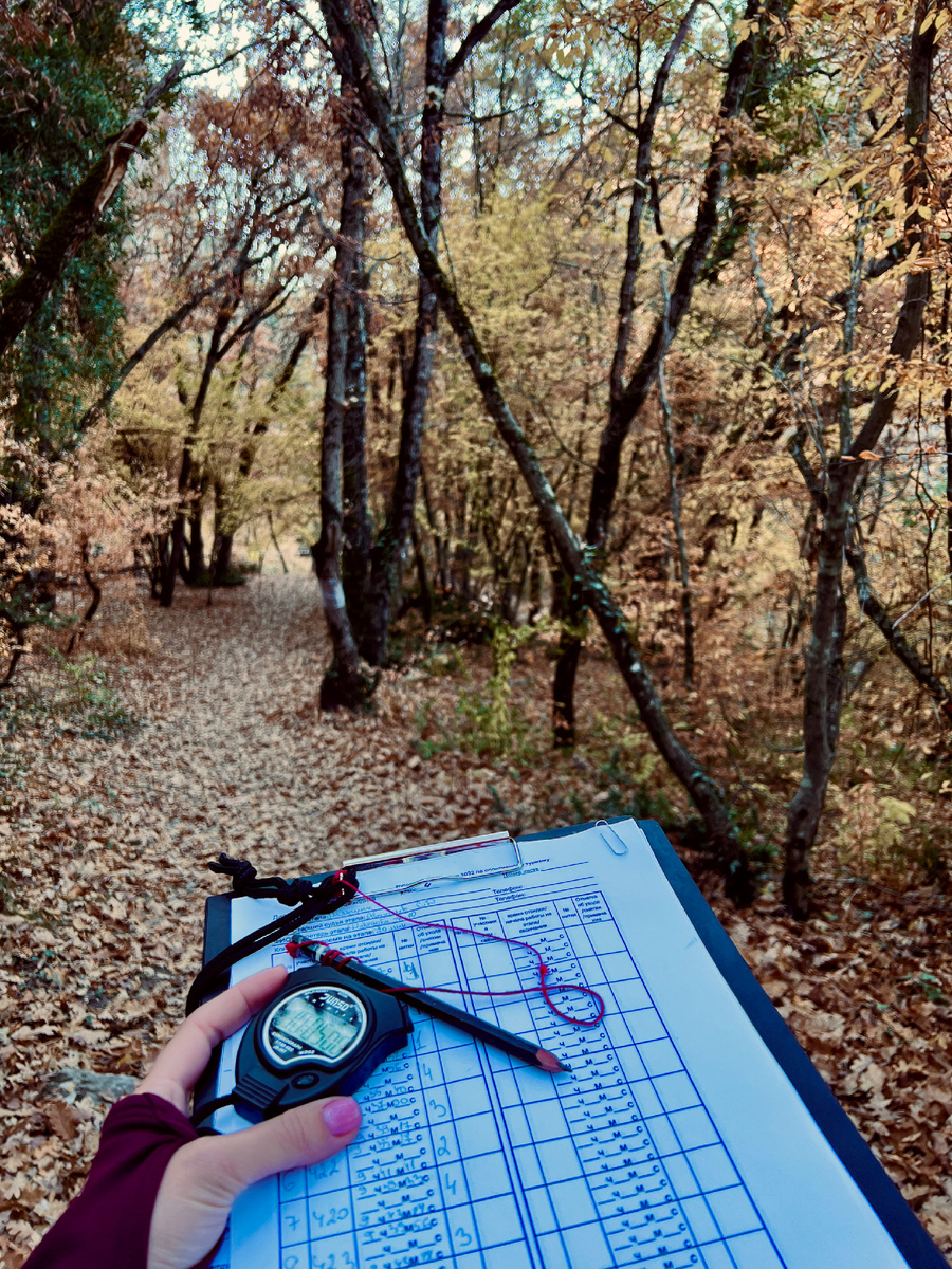 Выдают протокол и секундомер, который всем миром настраивали 😂