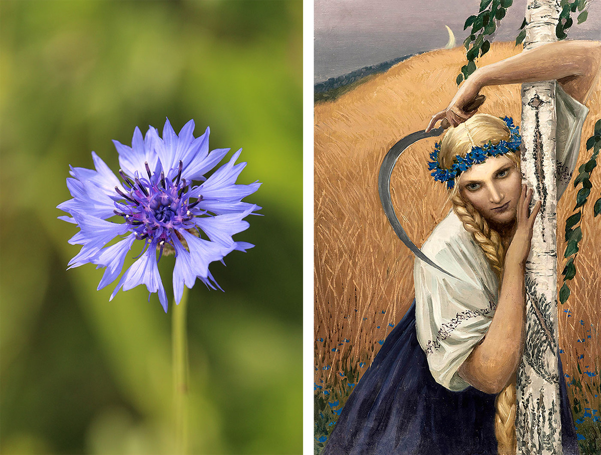 ©️ ru.freepik.com / ©️ ar.culture.ru. К. Васильев «Жница»