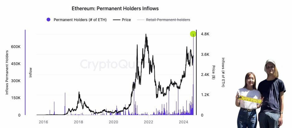 CryptoQuant отмечает рекордное накопление ETH долгосрочными держателями.