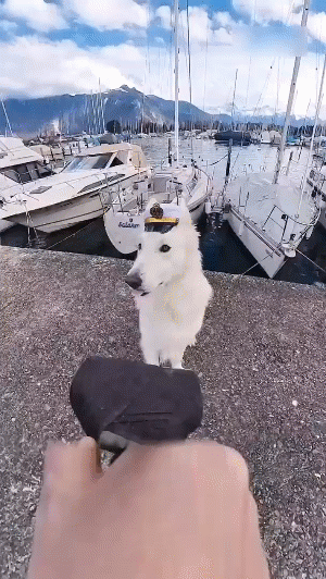 -9