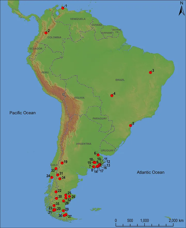 Места, демонстрирующие доказательства как присутствия людей, так и вымершей фауны по всей Южной Америке. Автор: Del Papa et al. 2024. 
