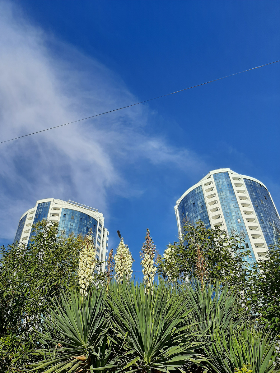 Не Америка, Адлер...