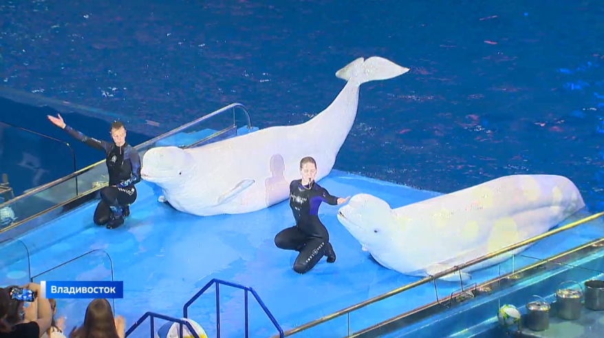    Источник фото: